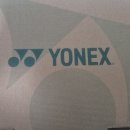 배드민턴 | 배드민턴 초보 운동화 요넥스 배드민턴화 후기