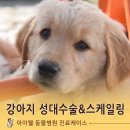 대흥동물병원 이미지