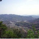 제원면 파출소 Daum카페
