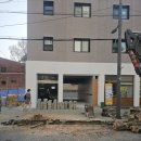 가로수 행정사 사무소 이미지