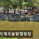 내리계곡로 | 영월 숙소 추천 내리계곡솔밭캠핑장 영월 내리계곡솔밭캠핑장, 깨끗한 시설이 장점