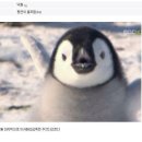 펭귄PC방 이미지