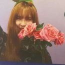 남중문구 이미지