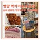 송이#(송이샵) | 양양 시장 먹거리 + 소품샵 (양양회포장, 송이닭강정, 호호잡화점) 내돈내산 간단 후기 ~~!