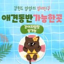 알로하푸드 | [강원도 양양] 양리단길 애견 동반 가능한 카페, 맛집총정리