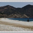 에스엠바이오 이미지