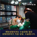 세란성형외과 네이버블로그