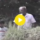 1992년 기성공 벌초 영상 이미지