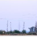 매향리 평화생태공원 이미지