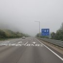 알펜시아콘서트홀 이미지