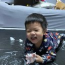 행복한 꼬마 거북이 이미지