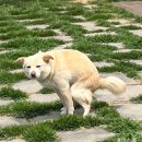 놀로 아쿠아센터 이미지