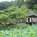 성재(惺齋) | 강릉 선교장 (활래정)