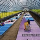 소민농장 네이버블로그