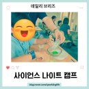 찬스!돔 관광나이트 | 과학이 영어로 살아 숨쉬는 1박2일 대전 TCIS 사이언스 나이트 캠프 솔직 후기