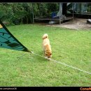 청산농원민박 이미지