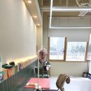 도그드살롱 이미지