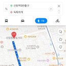 독특하개 이미지