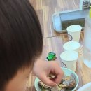 밀토랑바지락칼국수 - 광주시 경충대로 1286 | 밀토랑바지락칼국수