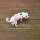 세븐일레븐 서천청소년수련관점 | 점심 &amp; 커피 &amp; 산보