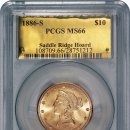 금화애견 이미지