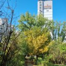 구민운동장(이동) 이미지