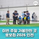 로봇이 축구하는 세상? 눈앞에 다가온 미래 기술의 집약체, 로보컵 2026 인천 생생 방문 후기