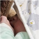 애니케어 동물병원 수유점 | D+74(교정일 34일)에 찍은 분만 병원&amp;조리원 연계 50일 사진 feat. 애니스튜디오노원도봉점