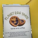 대전 갈마동 플래닛에그타르트 후기 🥧 오픈런하는 이유 알겠던 에그타르트 맛집!