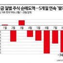 ‘큰 손’ 연기금 5개월째 ‘팔자’…하반기 순매수 1위는 NAVER 이미지