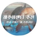킹마트