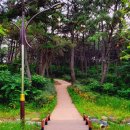 동뫼산공원 이미지