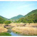 옥순봉로 이미지