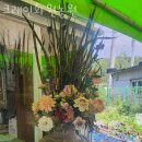 수인농원 | 금이동꽃집 크레인화원농원 가격 위치 영업시간