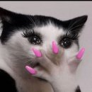 미스케치