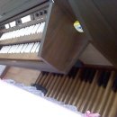 바이올린(중급) 이미지