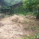 악양면사무소 이미지