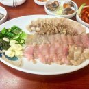 토속정 이미지