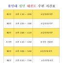 용인대 성민 태권도 이미지