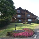 써니데이제주 이미지