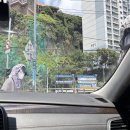 대교세차장 이미지