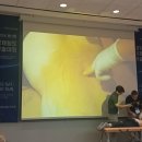 한국침도교육원 | 1년차 섬보의의 슬기로운 삶