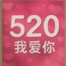 520 이미지