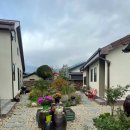 5월 감꽃 10월 홍시 | 남원 산내면 숙소 5월 감꽃 10월 홍시 게스트하우스