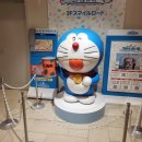스마일식당 | 삿포로 신치토세 공항 구경 스마일로드 도라에몽 식당 후기