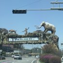 연천세계캠핑체험존 - 야영장 | 연천 한탕강관광지 🌼세계캠핑체험존 별빛데크야영장🌼연천 아이랑 가볼만한곳