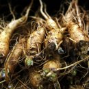 전북인삼협동조합 이미지