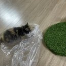 딩동댕 살롱 이미지
