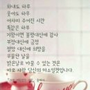 사발
