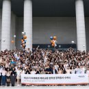 245 이미지